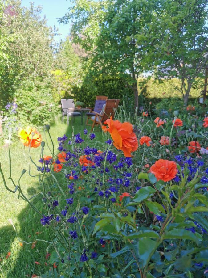 Gartenwohnung Paulsdorf ديبولديسفالده المظهر الخارجي الصورة