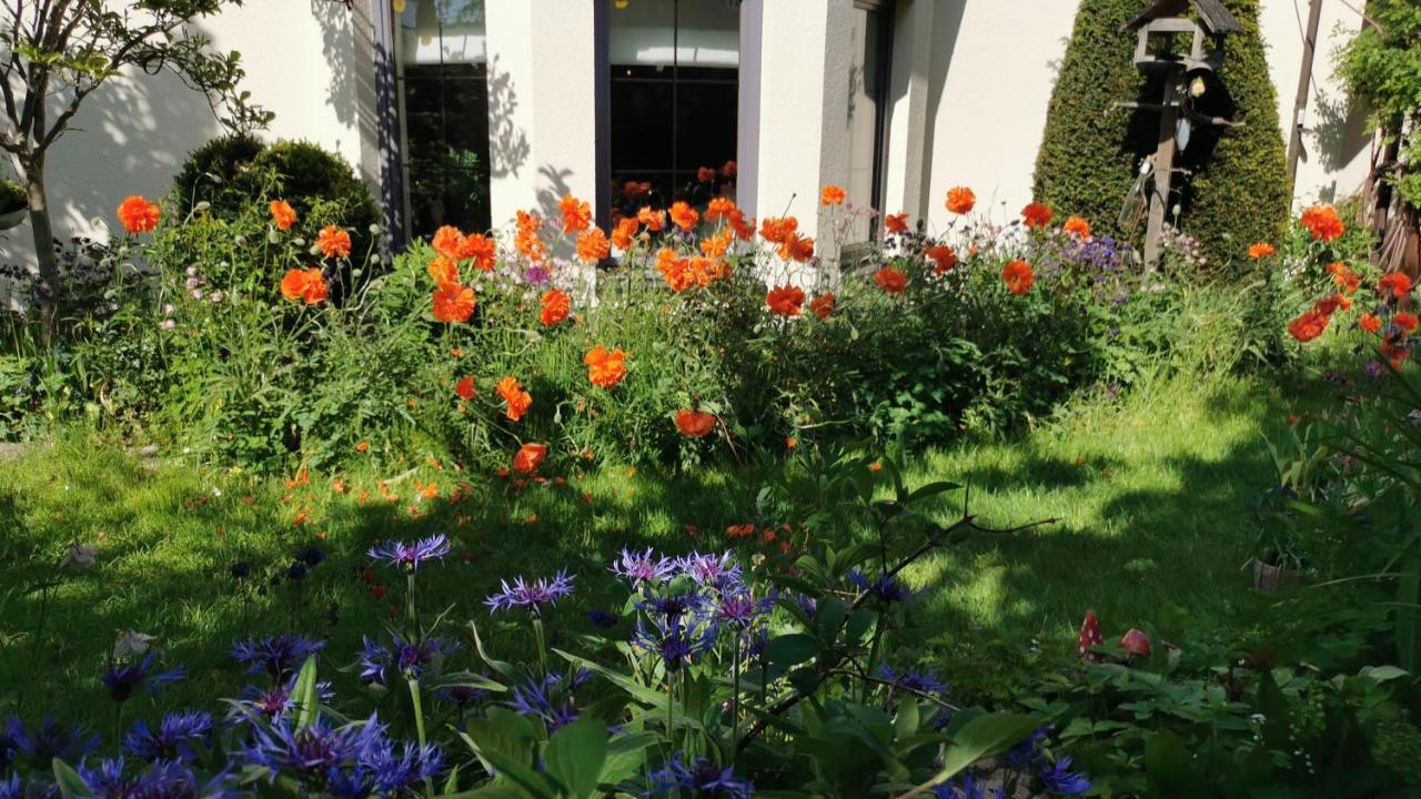 Gartenwohnung Paulsdorf ديبولديسفالده المظهر الخارجي الصورة