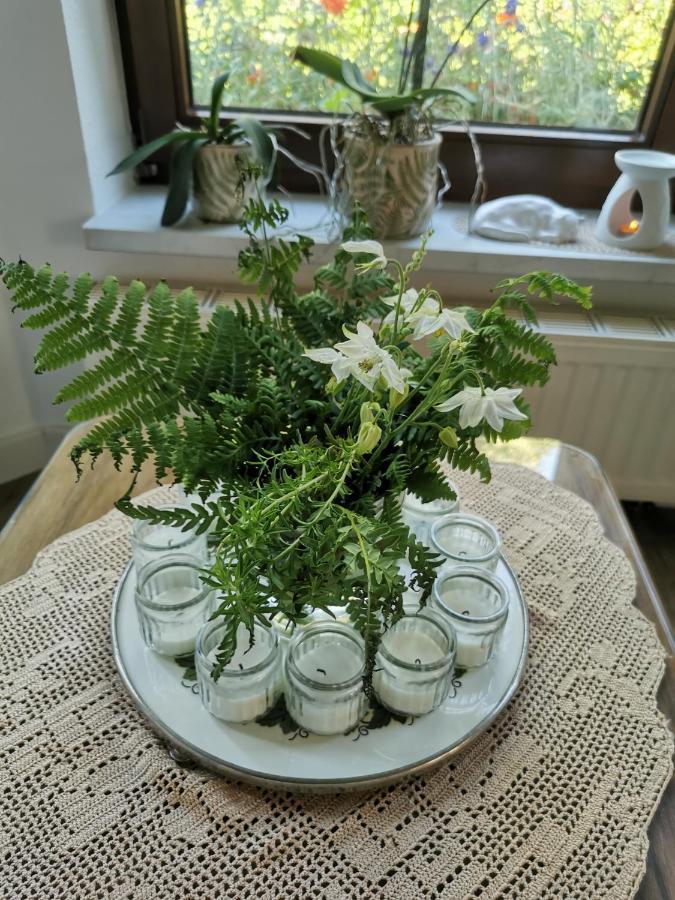 Gartenwohnung Paulsdorf ديبولديسفالده المظهر الخارجي الصورة